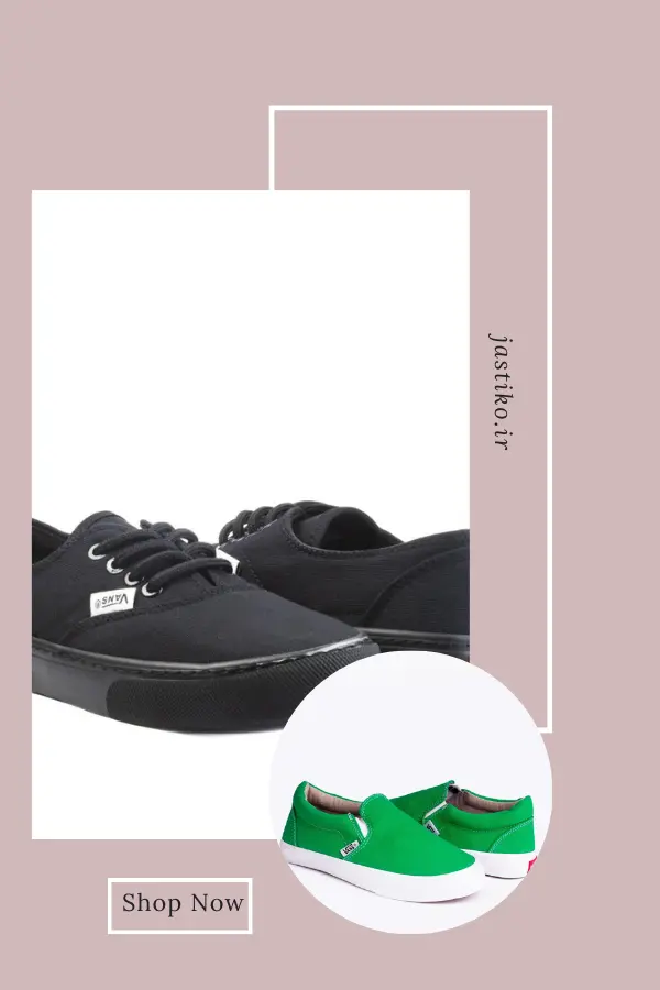 Vans Era